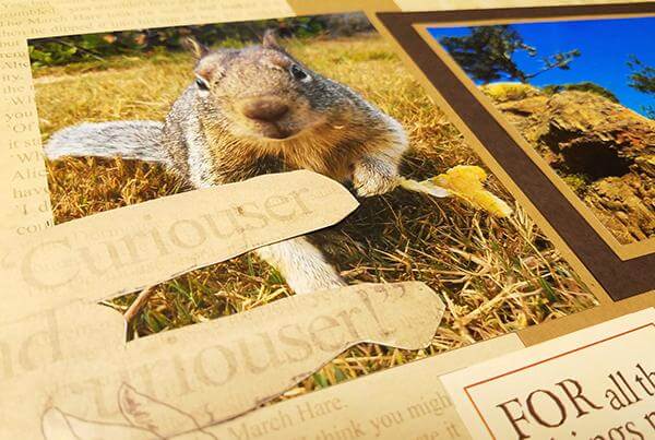 What you're missing at the St. Louis CKC Convention.