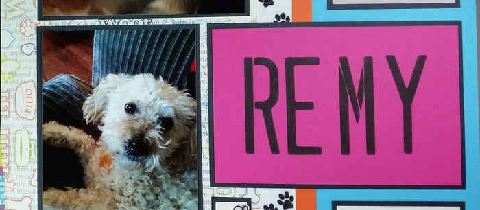 February Artist Team Challenge--Alpha Stencils