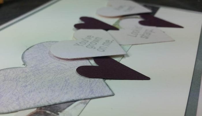 Fun With Succulents Rubber Stamps