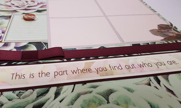 February 2017 - Succulents