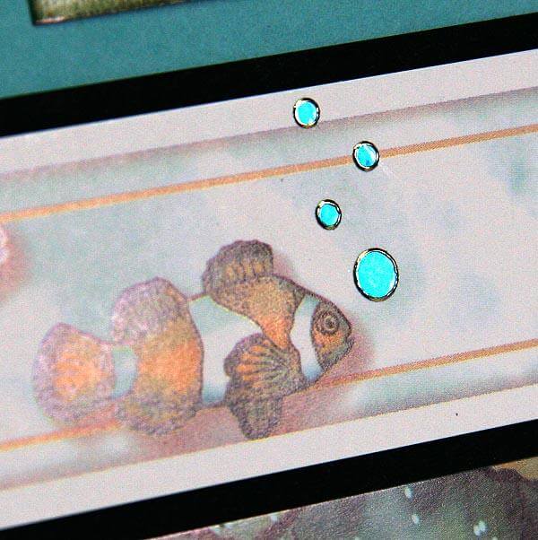 Lagoon Details - Deluxe Layouts and Greetings to Go Cards