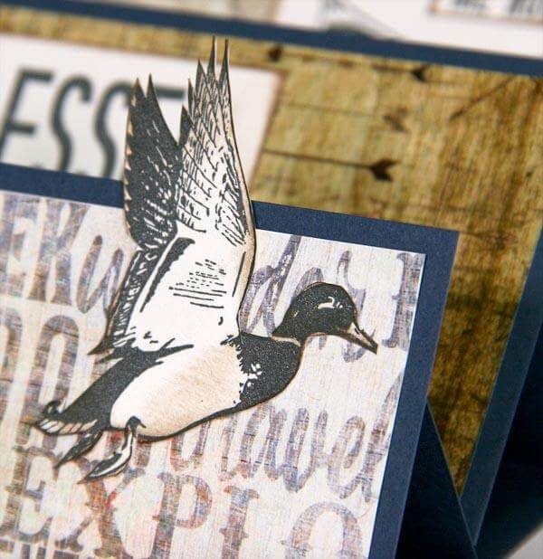 Triple Easel Video Tutorial and Adirondacks Club Stamp Cards