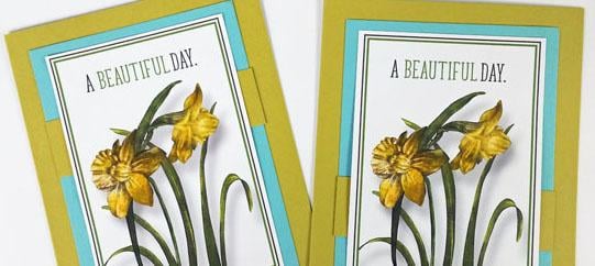 Easy cards with Daffodils hybrid and a bonus formula.
