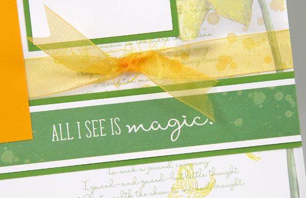 Daffodils Collection - March 2018