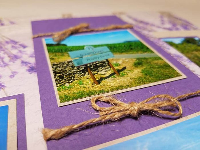 May Bonus Page Formula meets Provence