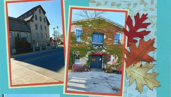 Aviary Bonus Page Formula