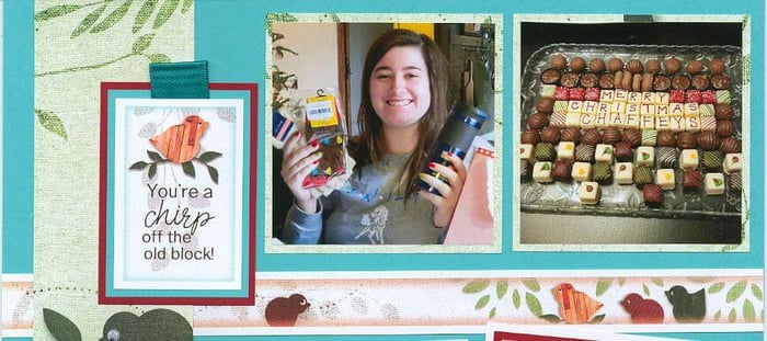 Aviary Layouts - Something to chirp about!