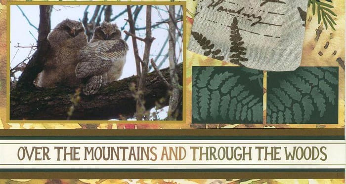 July Layouts - May the Forest be with you.