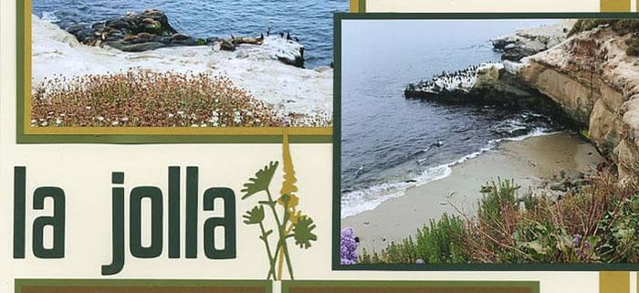 July Bonus Page Formula - A forest of possibilities!