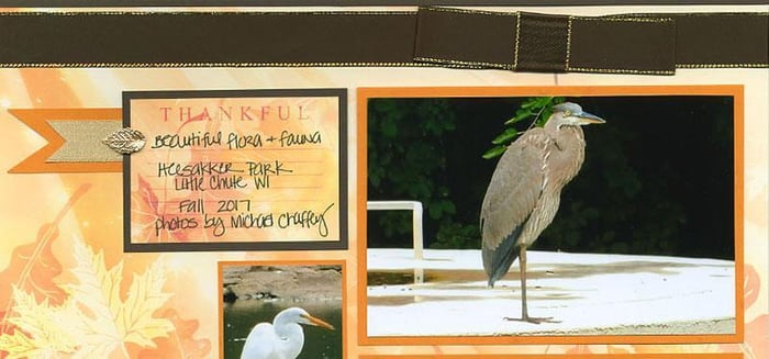 Falling Leaves Layouts - Pages for All Seasons