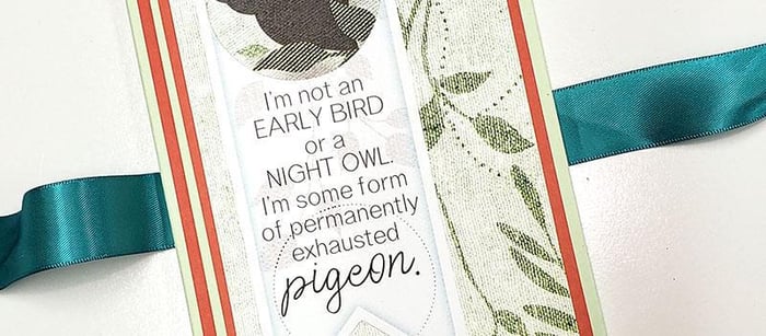 Make An Aviary Explorer's Folio with free instructions.