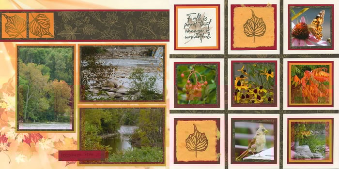 2019 Bonus Page Formulas - More Inspiration!