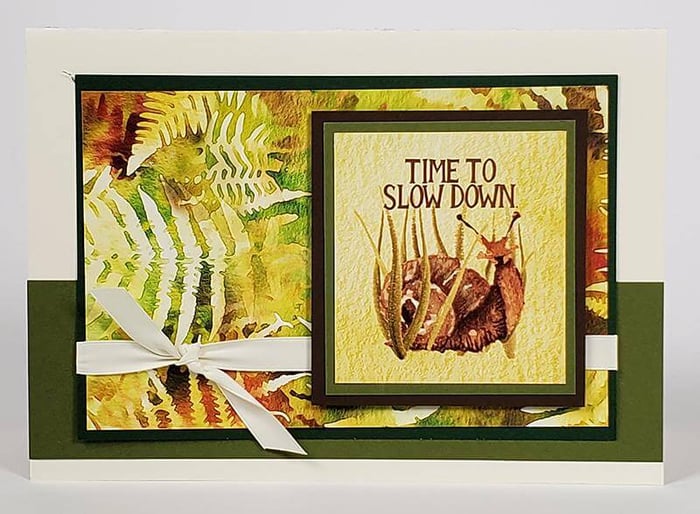 New Expo Card kits - Take a Virtual Workshop!