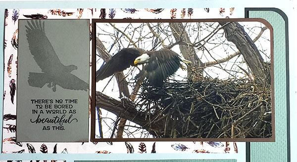 Pacific Northwest Bonus Formula - Three Ways