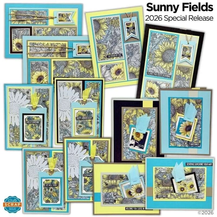 Make a dozen Sunny Fields greeting cards.