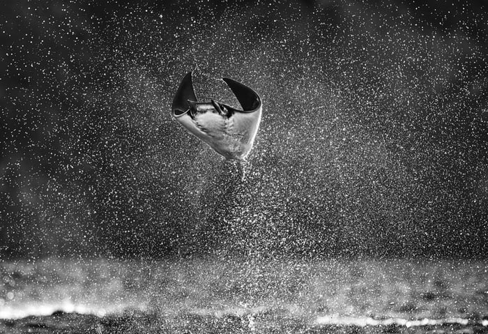David Yarrow - Change of Perspective