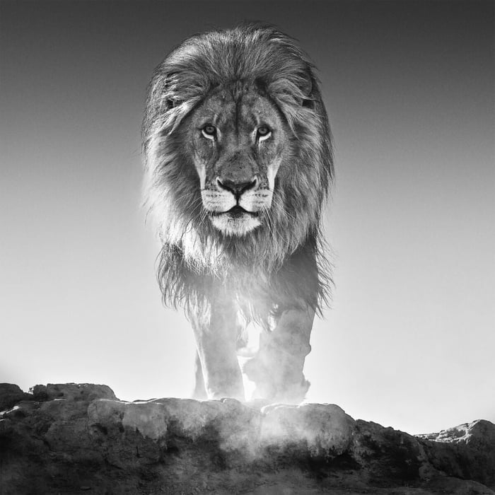 PODCAST | IN FOCUS WITH DAVID YARROW 