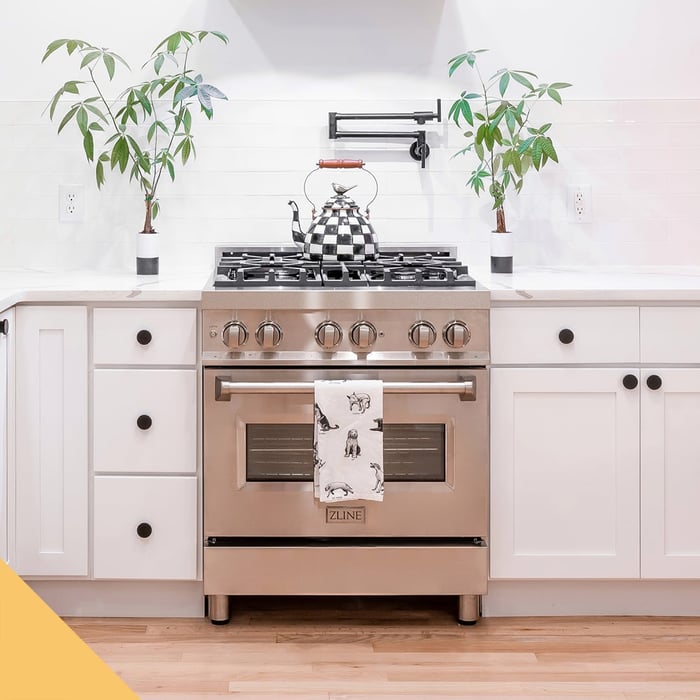 ZLINE RA30 Review | Is this Dual Fuel Range Right for You?