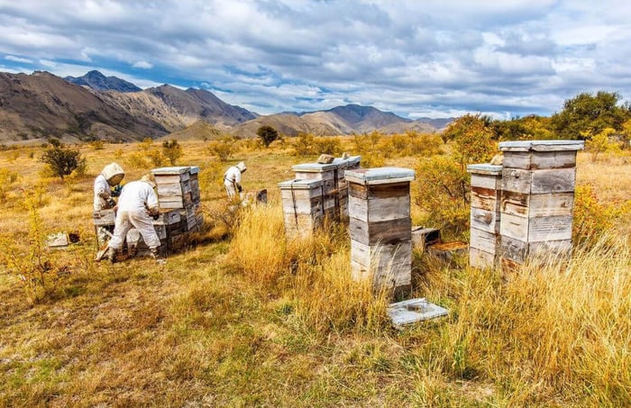 PRI: Meet The Brand - The original importer of Manuka Honey!