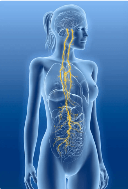 Vagal tone