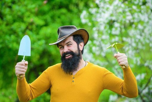 Is Spring the Best Time for Growing Out a Beard?