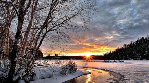 13 Winter Survival Tips