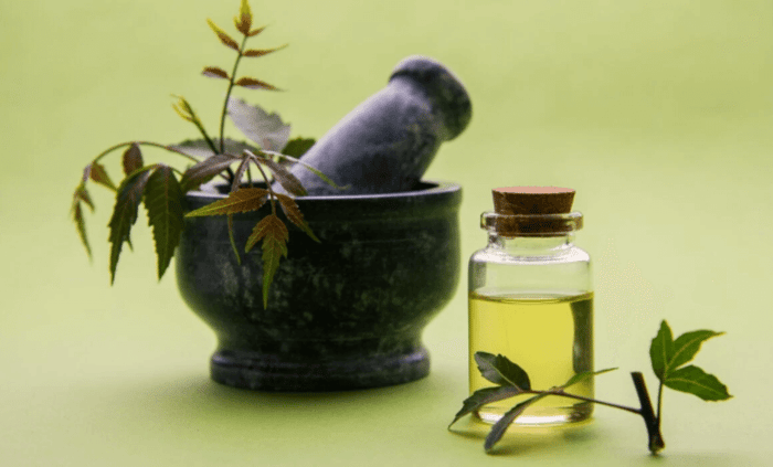 Storia e benefici del Neem