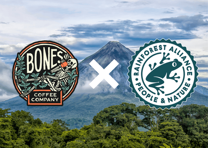 Single Origin: Costa Rica