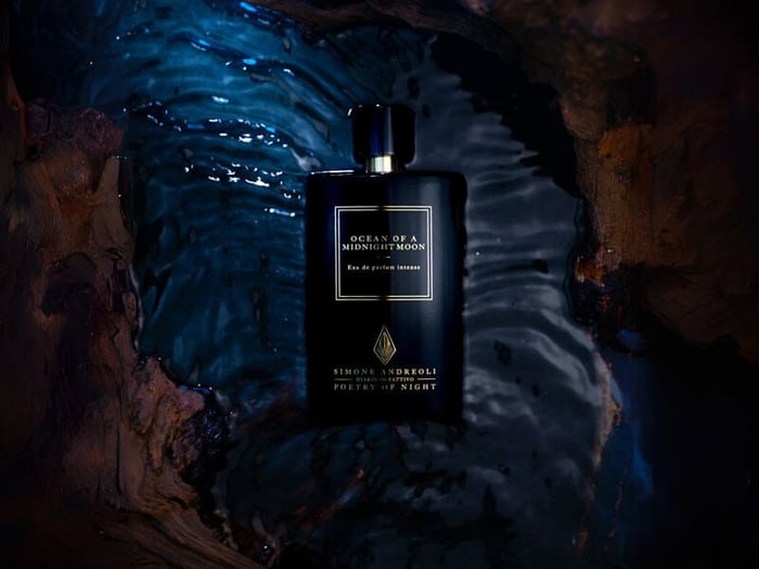 Ocean Of A Midnight Moon: a hike on the seashore