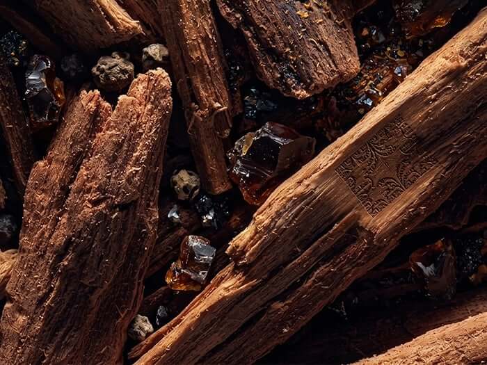 Akigalawood: The Modern Wood That Refines Niche Perfumes