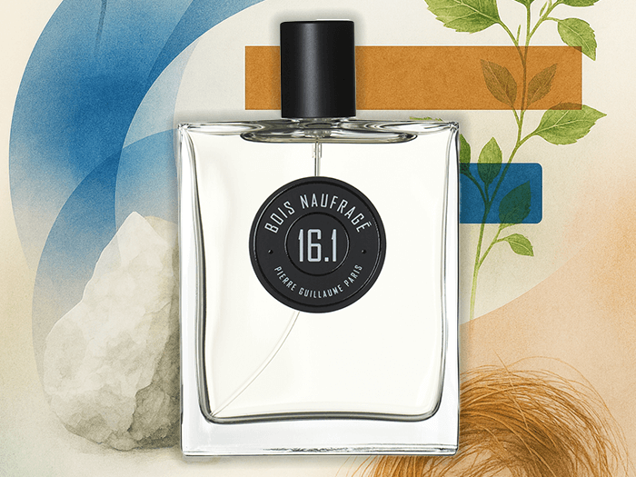 Bois Naufragé by Pierre Guillaume — A Driftwood Dream