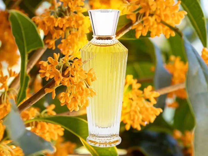 Rahele by Neela Vermeire; A true Indian Opulence