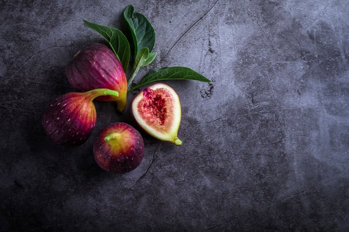 Fig and Fig - A Bried on Best Fig Fragrances Out There