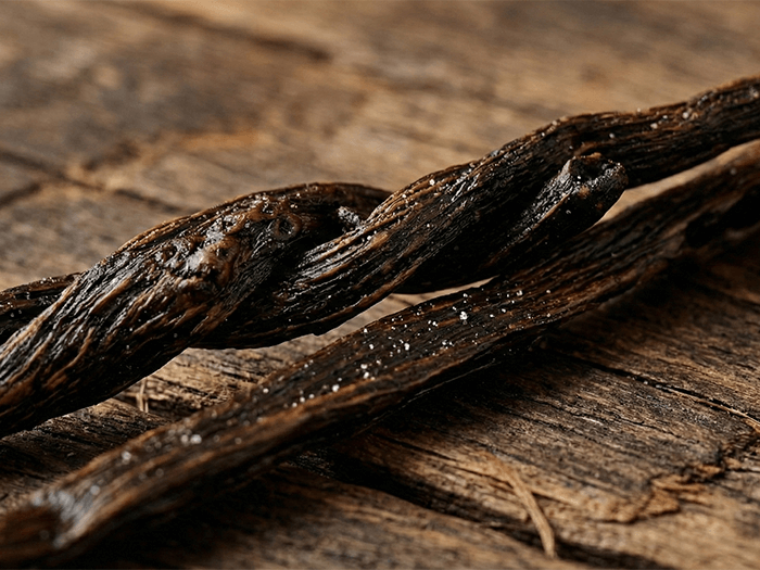 Vanilla in Perfumery: History, Craft, and Timeless Appeal