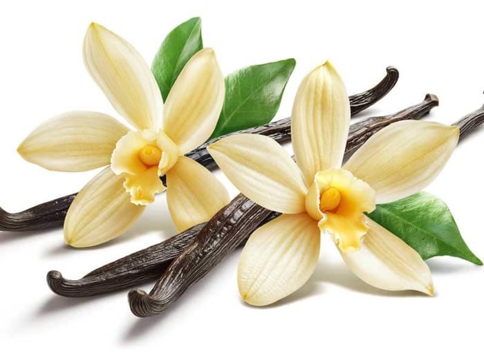 Vanilla: It is Impossible To Repulse It