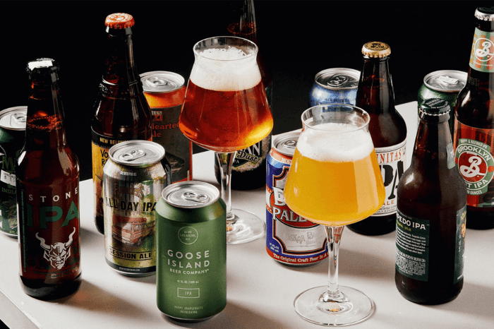 THE BEST IPA BEERS OF 2022 #CHUGSEASON