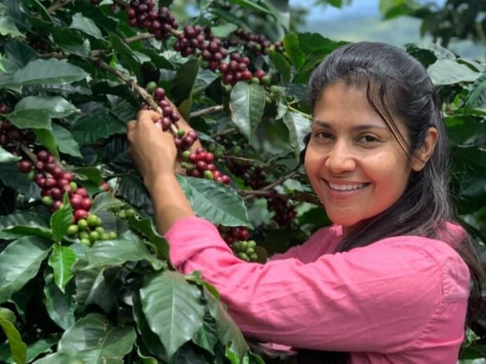 LOW ACID COFFEE GROWN IN THE ANDES MOUNTAINS OF PERU