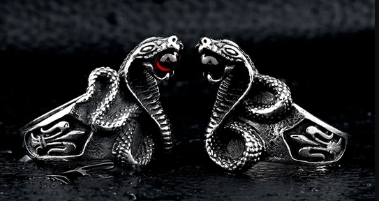 5 Cool Facts About Snakes