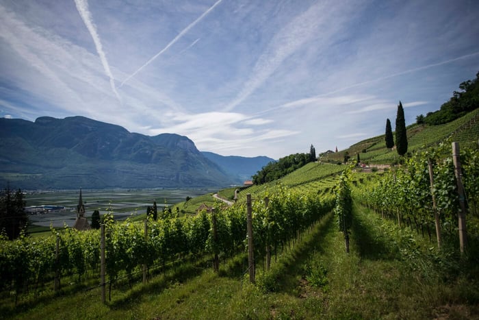 The Best Wine Regions in the World
