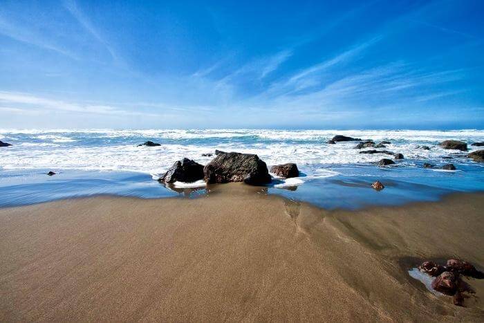 Fishing in Bodega Bay, CA - The Candid Shore is Waiting For You!