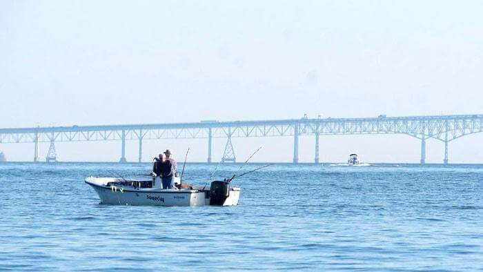 Everything You Need To Know on Fishing in the Chesapeake Bay, Maryland