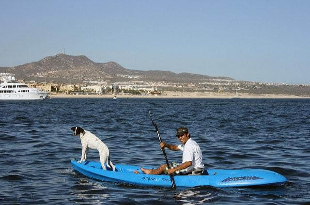  Best Kayaks and Tips for Kayaking With Dogs
