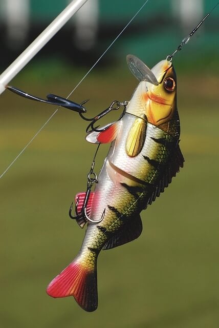 Fishing Hook Size Chart: Find the Right Hook for Your Catch
