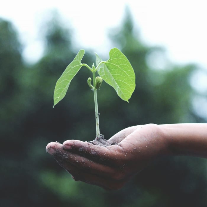A Month for Earth