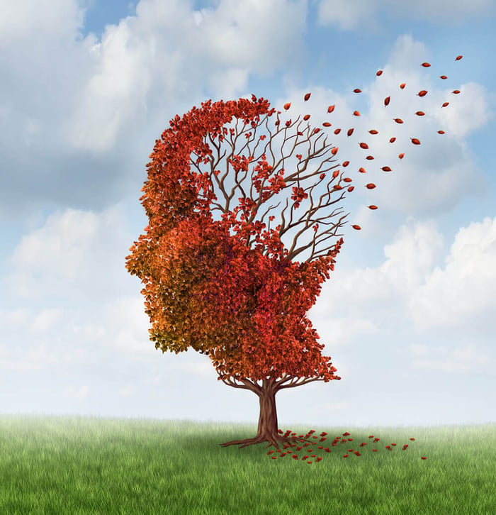 Love Your Brain