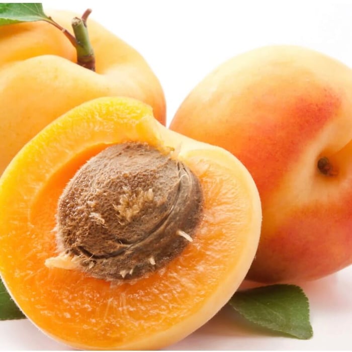 A Guide to Anti Aging Oils