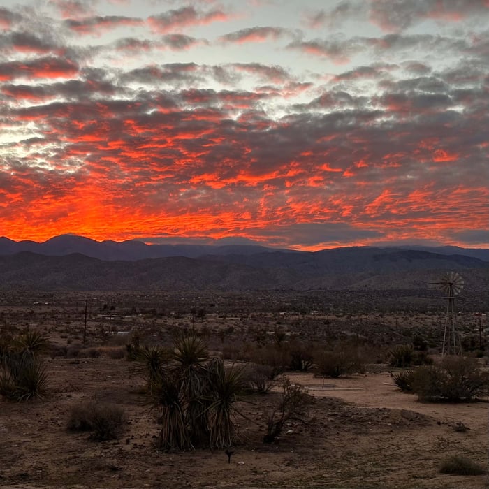 Daylight Saving Time: an Hour with Far-Reaching Effects