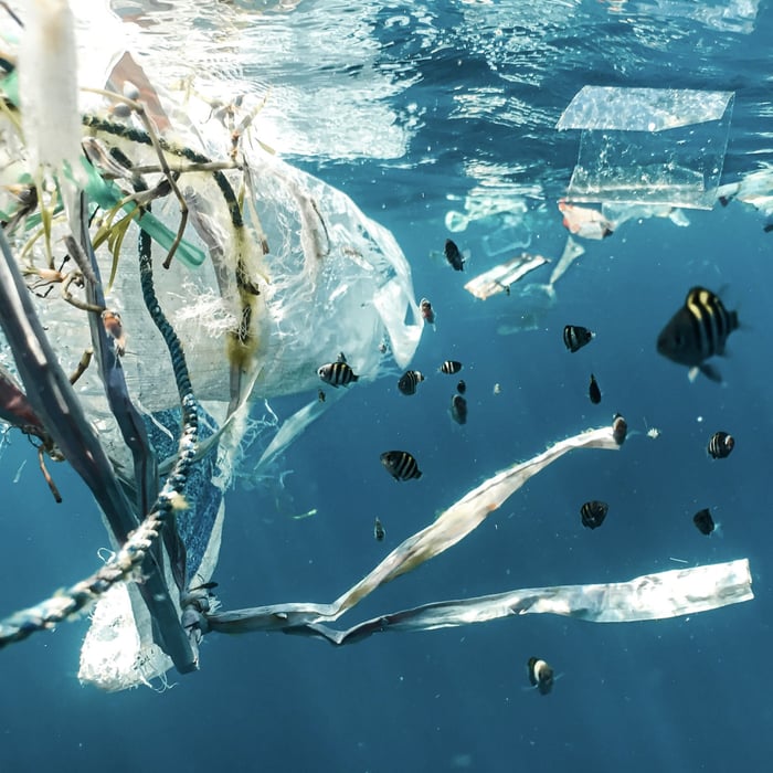 Waste Not, Want Not: Clean Up Our Oceans