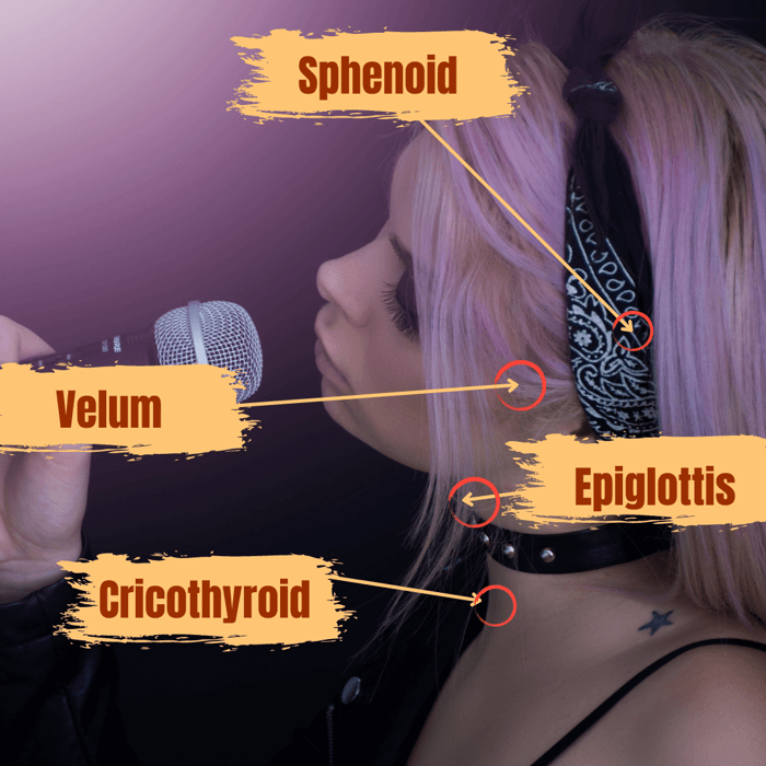 3 Singing Techniques Beginners can use right now