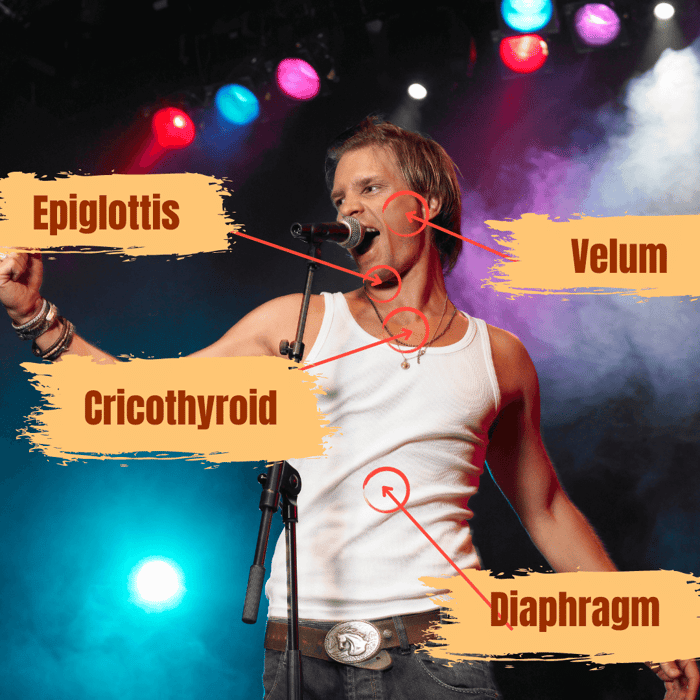 What IS singing with forward placement? [Not just singing 